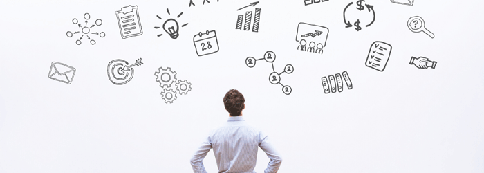 SME Support and Project Execution