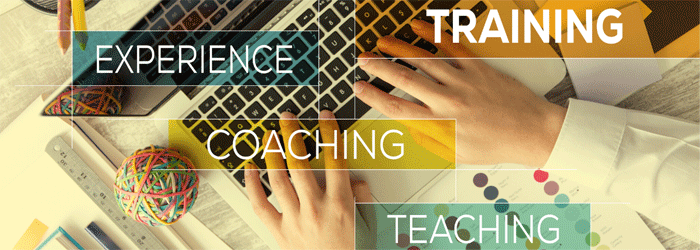 Knowledge Transfer & Team Development